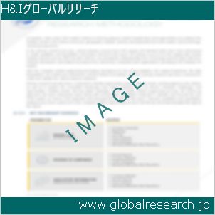 グローバルリサーチ調査レポートのイメージ